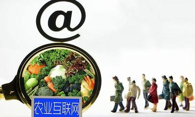 烏鎮國際互聯農業博覽園 科技賦能，走內涵式現代農業發展新路