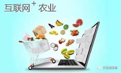 休閑農(nóng)業(yè)13種創(chuàng)意新模式 當(dāng)田園邂逅互聯(lián)網(wǎng)美食